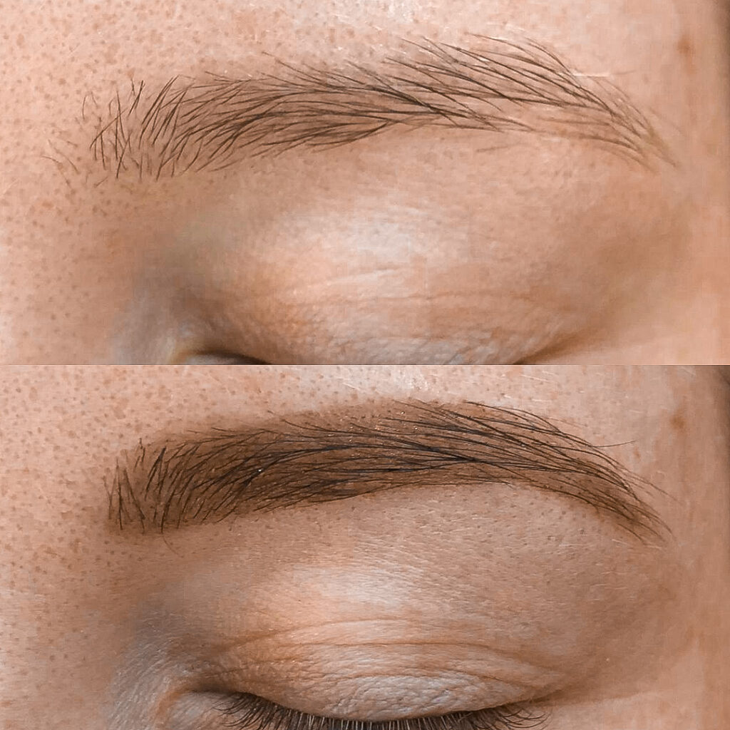 Hybrid Brow Tint Darwin Canberra Adelaide